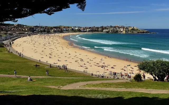 Bright Beachside Apartment in Bondi