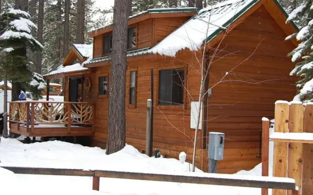 Knotty Pine Cabin