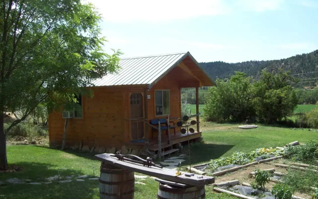 Buffalo Bungalow