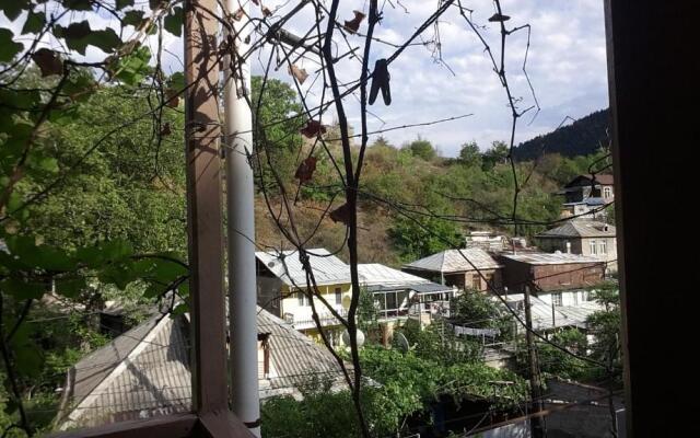 Holiday Home On Saakadze 46