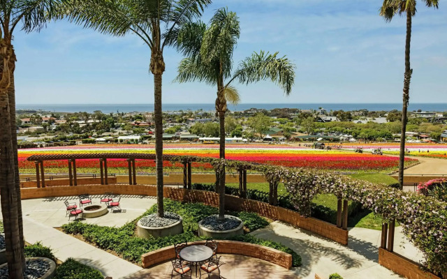 The Cassara Carlsbad, Tapestry Collection by Hilton