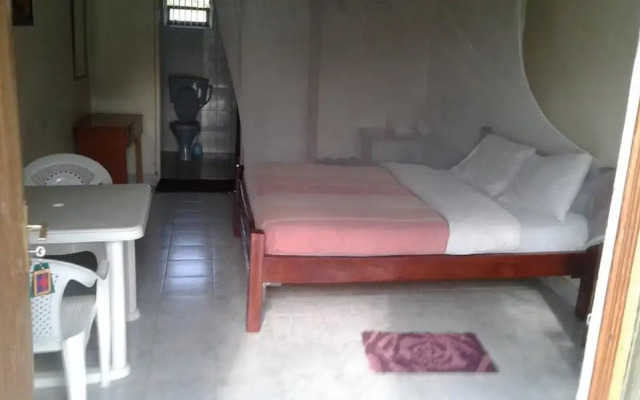 Cactus Eco Camp and Lodge