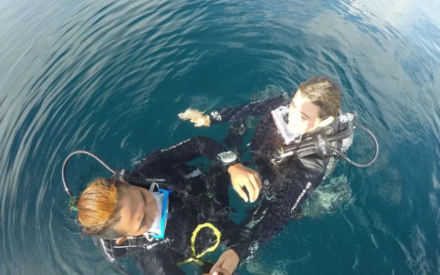 The Sharks Tail Dive Resort