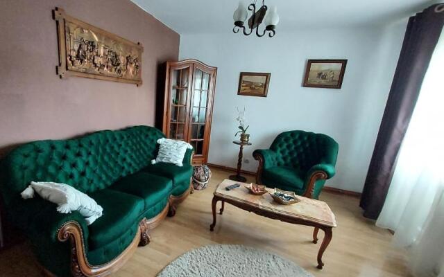 Vintage Central Apartament