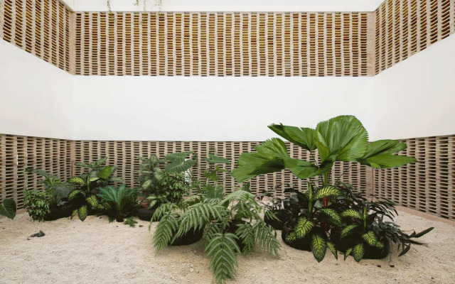 Lusitania Suites Orizaba