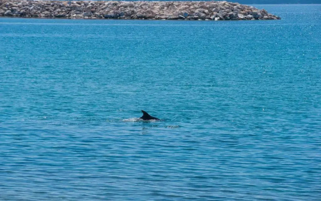 Hotel Aegean Infinity Deluxe - Limenaria