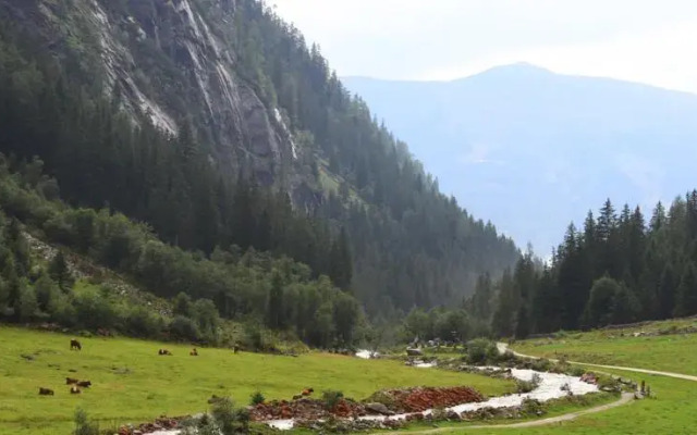 Hauserhof & Enzianhütte