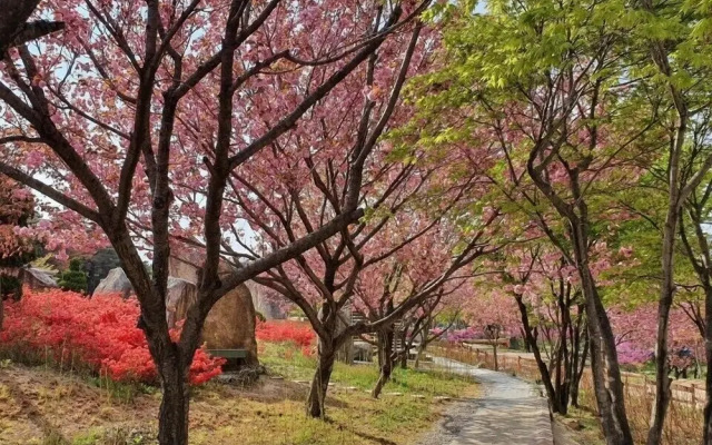 Cheoksan Hot Spring