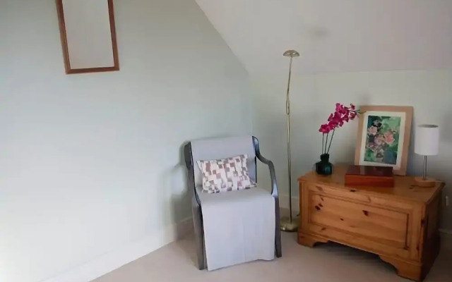 Bassets B&B