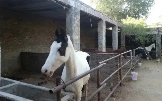Rawla Paramda