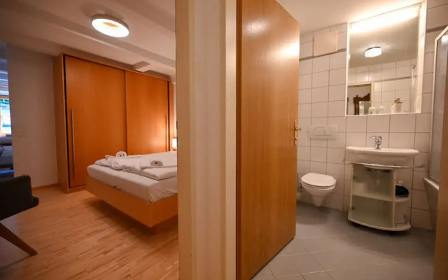 Schmitten 27 - Apartment 3 200m From ski Lift