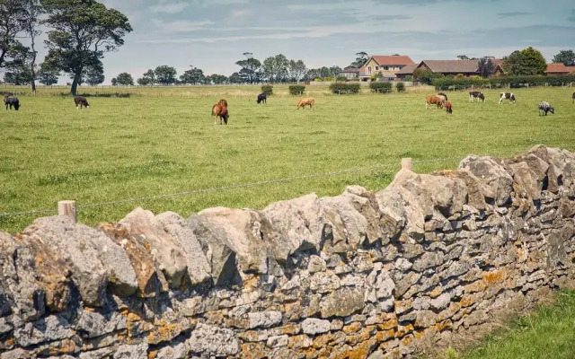 Host Stay Cheviot View