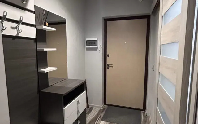 Апартаменты Privi House на улице Льва Толстого 34