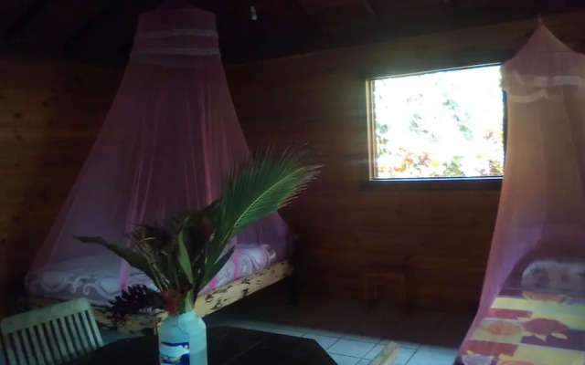 3 Rivers & Rosalie Forest Eco Lodge