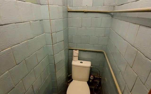 Vilkas Apartment
