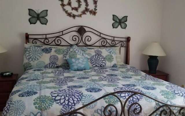 Rising Star in Clermont