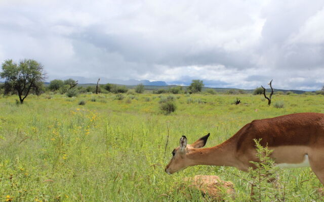 Auas Safari Lodge