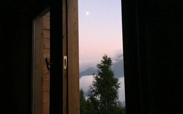 Pokut Orion