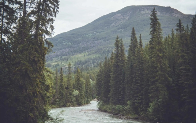 Panorama Vacation Retreat at Horsethief Lodge