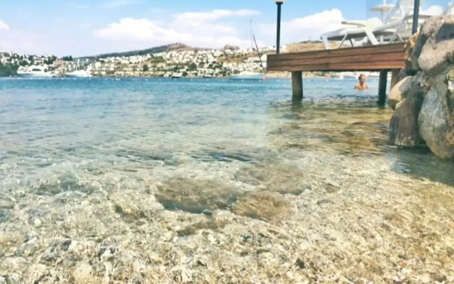 Estrella Beach Hotel