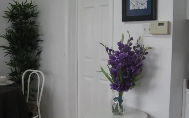 Adib Apartments - 2077 Walkley Rd