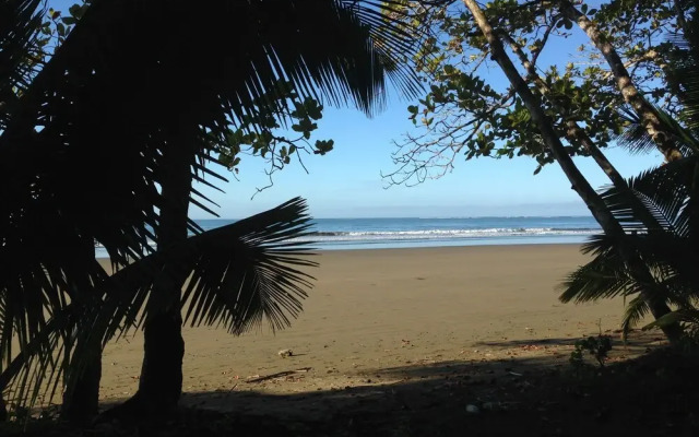 Uvita Oasis Retreat with Villa Cabins and Apartment