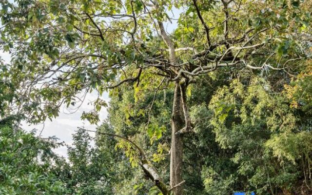 Wuyishan Six Shang · Waterfront Mountains and Beautiful Stays