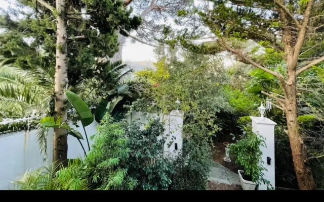 Table Mountain Cottage