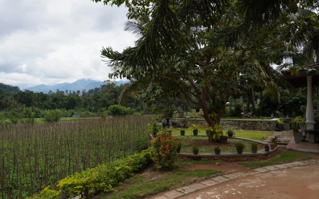 Nature valley homestay