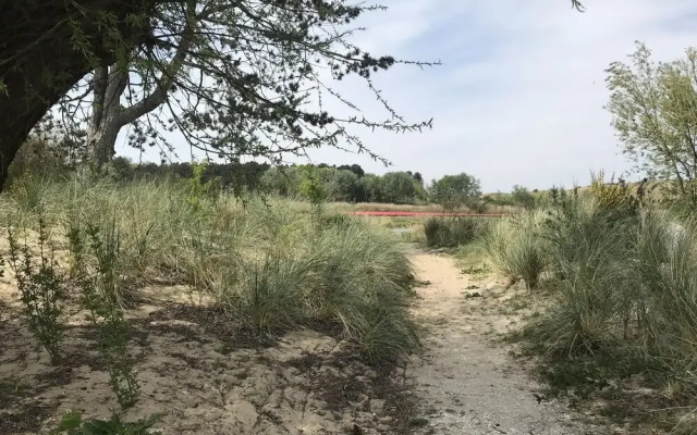 Impeccable 4-bed House in Castricum Butterfly