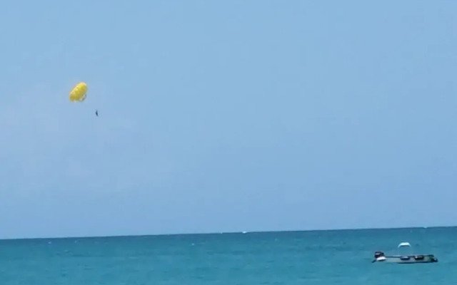 Mare 1660