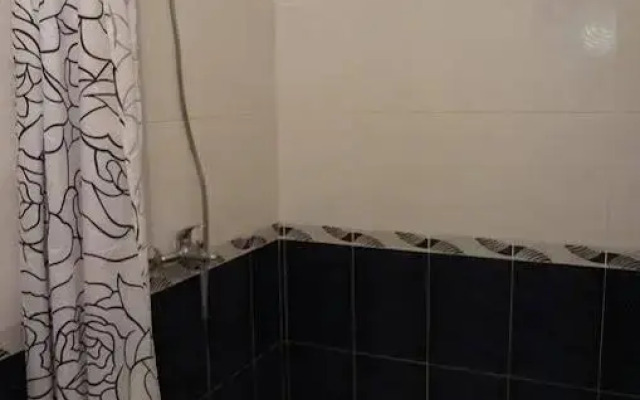 Solo Apartment Kamenskaya