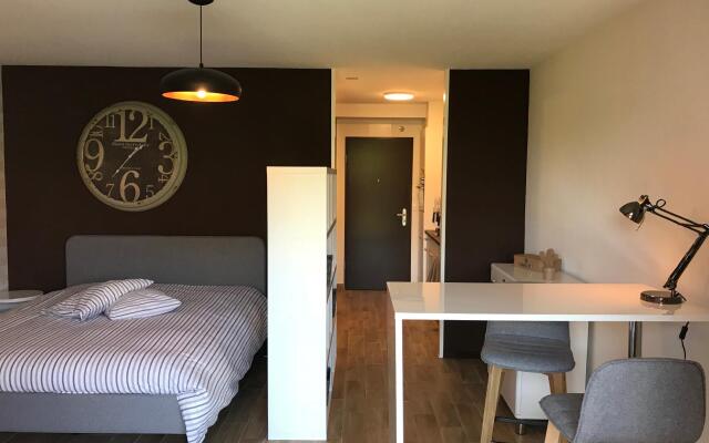 "large Studio Near Epfl And Lausanne City Center"