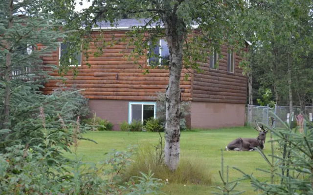 All Seasons B&B