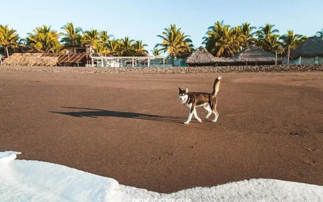 Beach House in Monterrico Guatemala