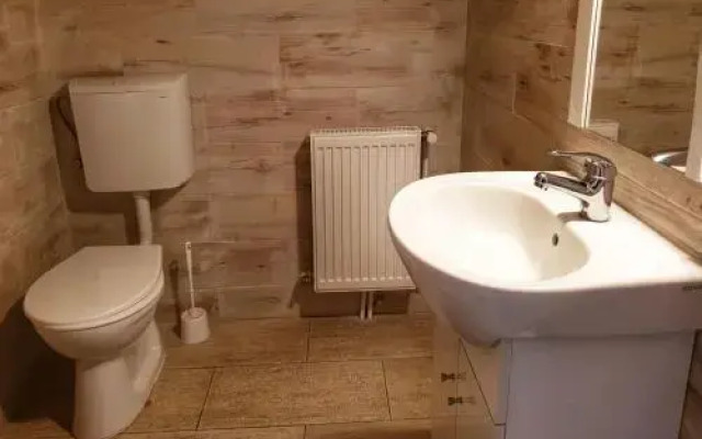 Pensiunea Alpina Casi & Spa