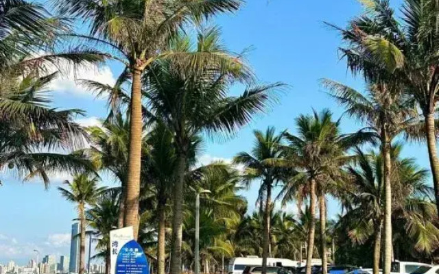 Junzilan Hotel (Haikou Shangbang Parkway City Wangfujing Haiken Square)