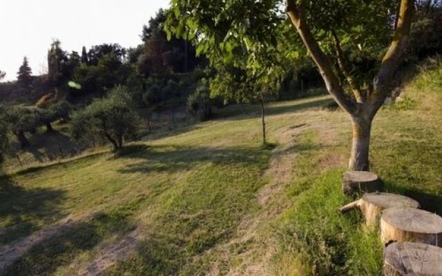 Alpaca Country House