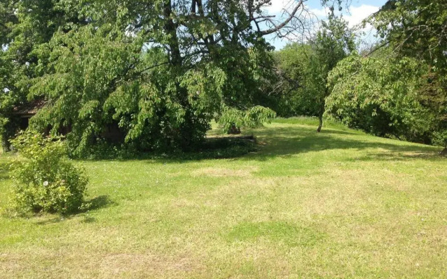 Les Jardins de la Tuilerie