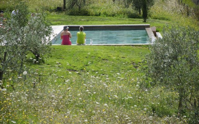 Podere Finerri - The Lazy Olive Villa