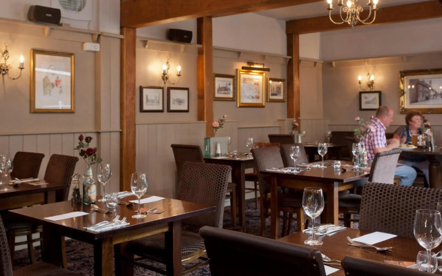 Dog & Bear Hotel