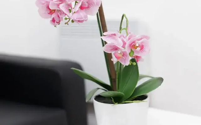 Kirkstall Serviced Apartments Leeds