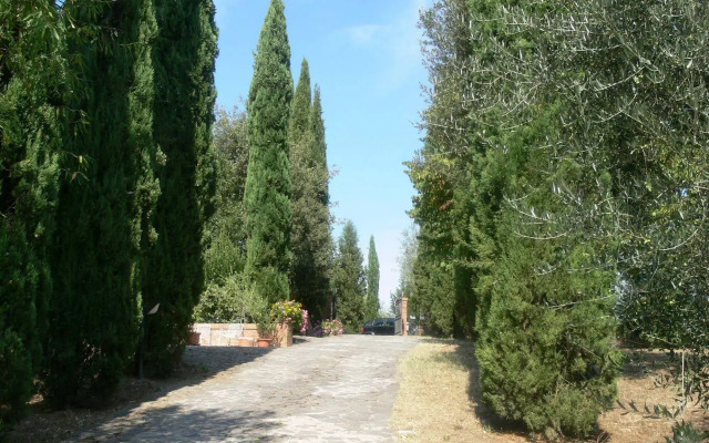 Malafrasca