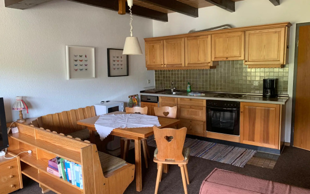 Haus am Sonnenberg Todtnauberg, Fewo 305