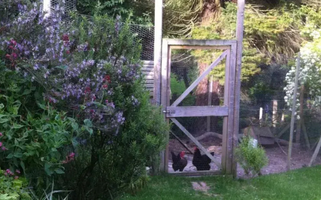 Broadhurst B&B