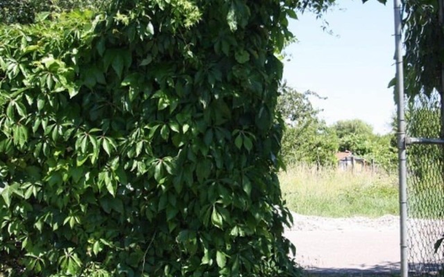 Schnuckliges Appartement am Seeufer