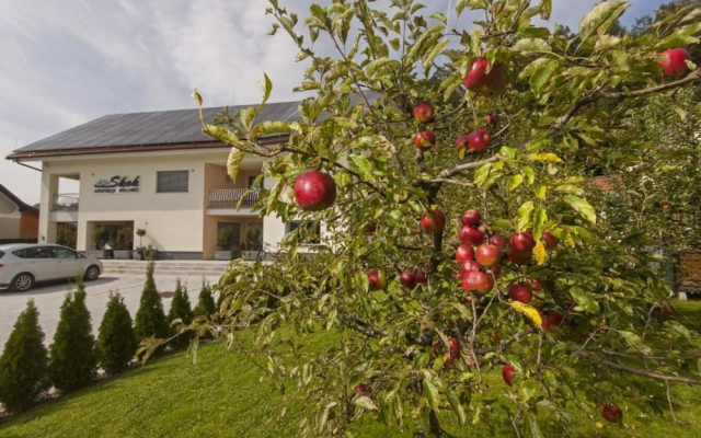 Wellness Suite Viola