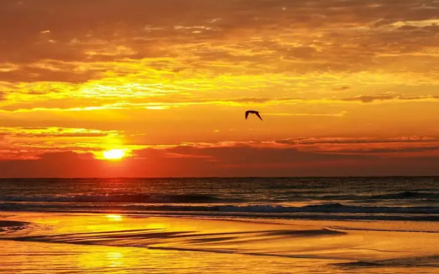 Seaside Serenity