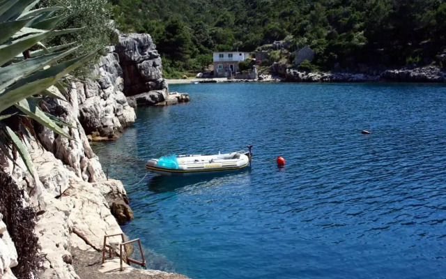 Apartments by the sea Cove Pokrivenik, Hvar - 5231