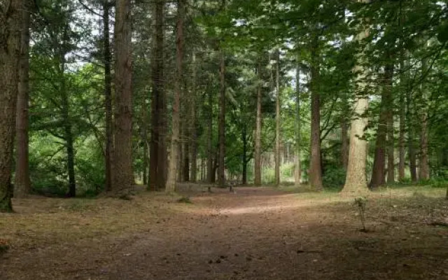 Bungalowpark Vogelenzang